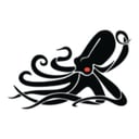 Kraken Robotics